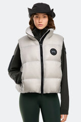Silverbirch