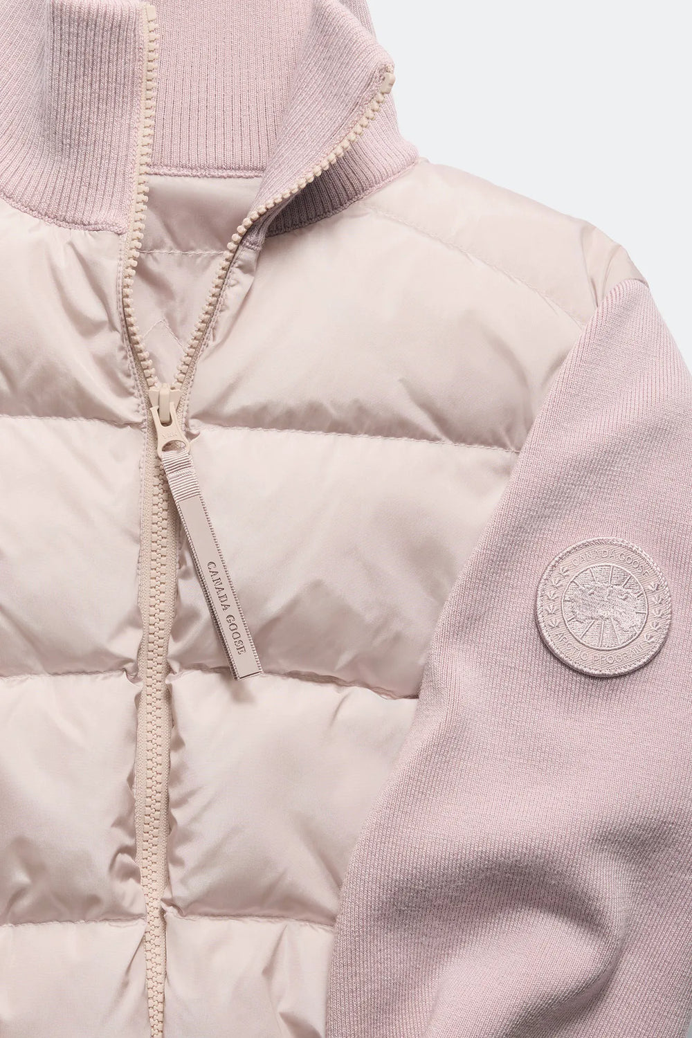 LUCENT ROSE
