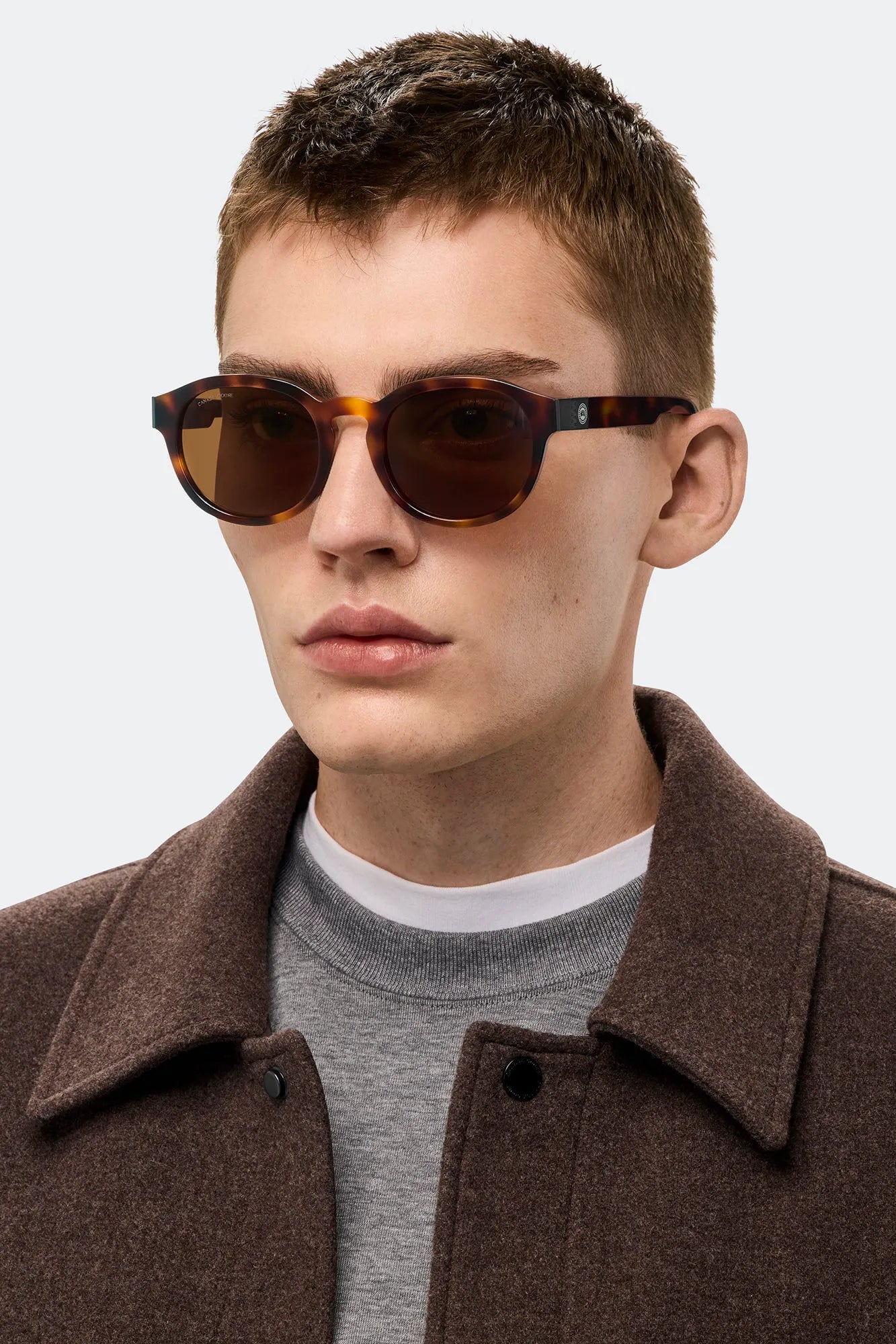 HAVANA/BROWN